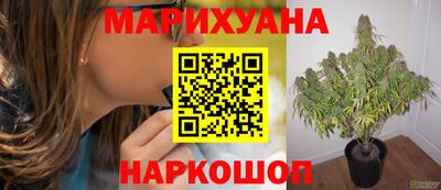 бошки Донецк