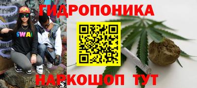 бошки Донецк