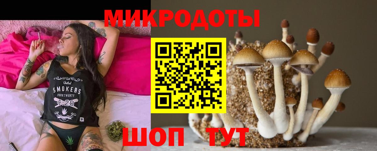 Галлюциногенные грибы мухоморы  Вход с VPN  Красноармейск 
